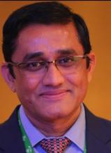 Shri Dinesh Singh Dhanik